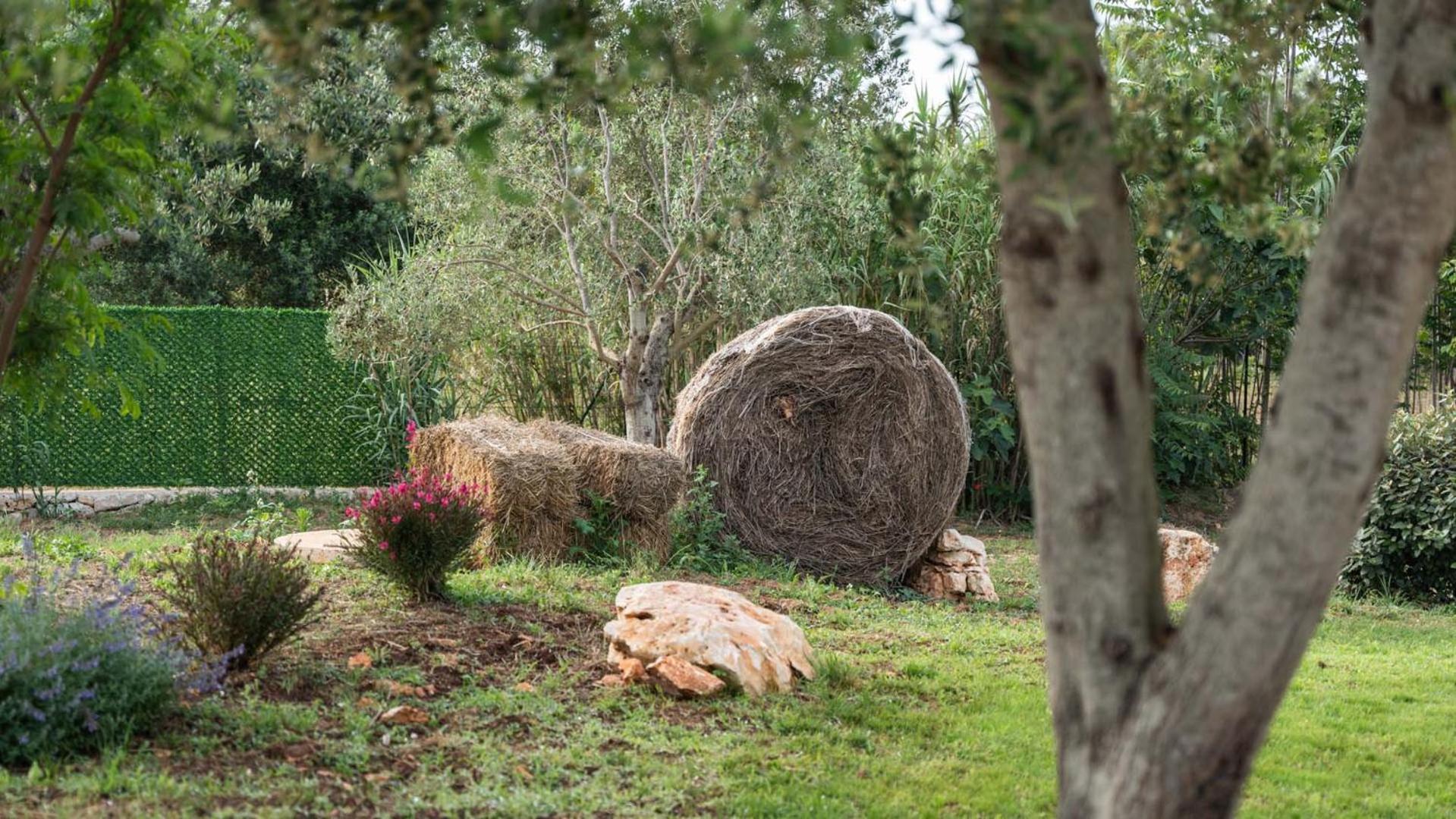 Bed and Breakfast Petranima Wellness In Trulli Ostuni Exteriér fotografie